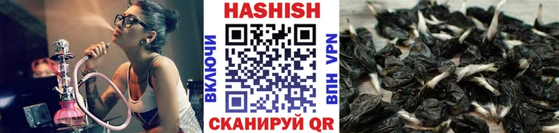 ГАШИШ Изолятор  наркотики  Малаховка 