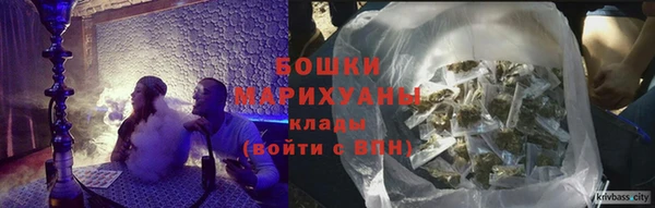 молекула духа Горно-Алтайск