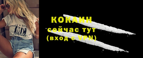 a pvp Горняк