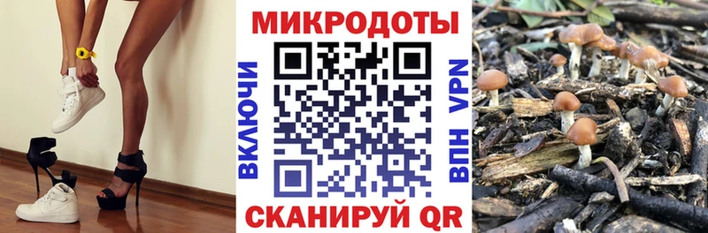 купить наркоту  Малаховка  Галлюциногенные грибы прущие грибы 
